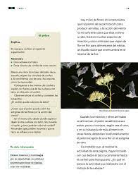 Eso es lo que podemos compartir respuestas del libro de ciencias naturales de 4 grado pagina 89. Ciencias Naturales Cuarto Grado 2017 2018 Ciclo Escolar Centro De Descargas