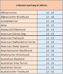 wie alt werden hunde lebenserwartung in tabelle hundealter hunde lebenserwartung