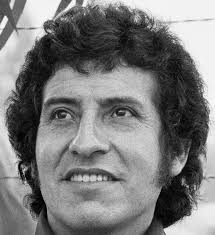 Junta De Vecinos Anibal Pinto 44-F Crispulo Gandara