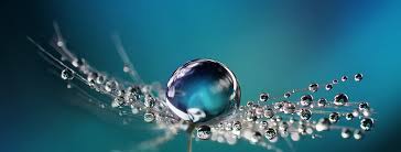 Act definition, anything done, being done, or to be done; Act For A Sustainable Future Air Liquide
