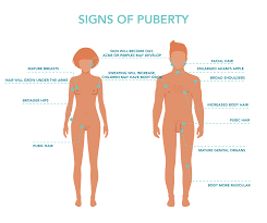 48 Extraordinary Puberty Chart For Guys