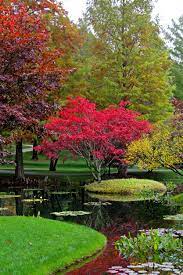 Japanese Gardens 2 By Richard Krebs Japanese Garden Japenese Garden Japanese Maple Garden