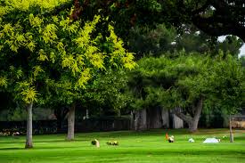 The high note dispansary culver city is conveniently located on jefferson boulevard, on the border of culver city and historic west adams. Holy Cross Cemetery Pomona Catholic Cemeteries Mortuaries Archdiocese Of Los Angeles Los Angeles Ca