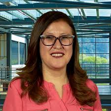 Maestría en Ingeniería Industrial