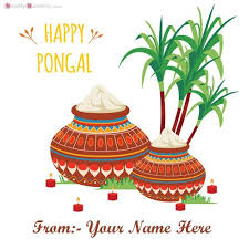 2:50 jidnyasa arts 470 просмотров. Pongal Greetings Photos With Your Name Generator Images