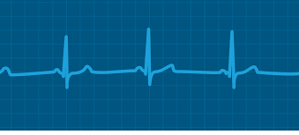 Labchart Phymep