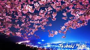 Cherry blossom, anime landscape, scenic, street, sky, anime, hd wallpaper. Japanese Traditional Relaxing Music Zen æ¡œ Cherry Blossom Wallpaper Anime Cherry Blossom Scenery Wallpaper