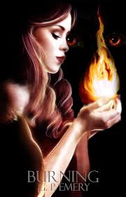 Burning (Burning Series Book 1)