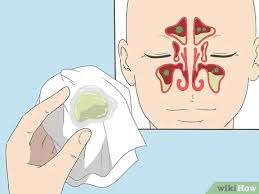 4 Ways To Get Rid Of Mucus Wikihow