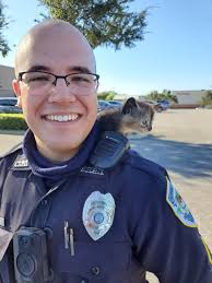 Today we received a call about a kitten seen