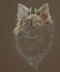 Using chalk pastels, color in everything. Custom Dog Portrait Archives Natasha Junmanee
