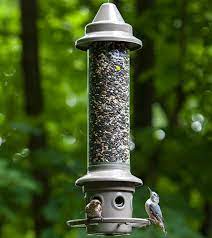 Biggest day is 14 birds. 6 Squirrel Proof Bird Feeders That Actually Work Bird Watching Hq