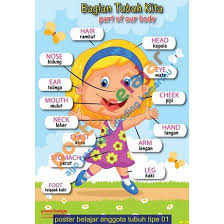 Nama nama bunga dalam bahasa inggris. Poster Belajar Anggota Tubuh Type 1 Shopee Indonesia