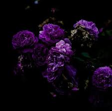 Purple flower perfume fashion canvas wall art prints set of 6 wall pictures for bedroom makeup art girls room wall decor (8x10 unframed) 3.8 out of 5 stars 40. Dark Purple Aesthetic Wallpaper Flower Novocom Top