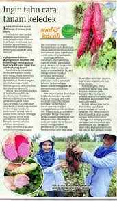 Maybe you would like to learn more about one of these? Ourfooodourfuture Hashtag On Twitter