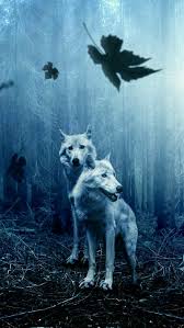 We did not find results for: Wolf Animal Animals Dog Enirti Iphone X Tree White Hd Mobile Wallpaper Peakpx