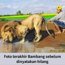 Pin On Seni