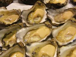 Whats New Grading Standards For Sydney Rock Oysters Blue