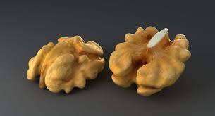 3d Model Walnut Nut Food Nutshell Kernel Seed Fruit Snack Nutmeat Noix Groundnut Ingredients Cooking 3d Model 3dm Walnut Nuts Walnut 3d Model