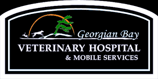 Bay area pet hospital is a veterinary clicnic in traverse city, michigan. Home Georgian Bay Veterinary Hospital Perkinsfield On