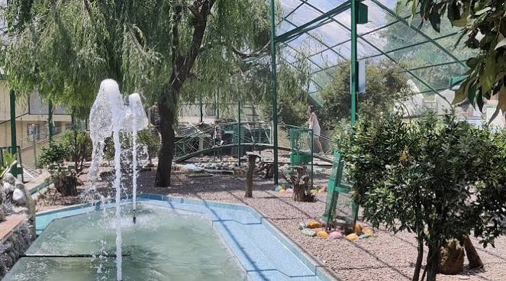 HIMALAYAN BIRD PARK - All You SHOULD Know Before Going 2026 (with Photos) - Tripadvisor