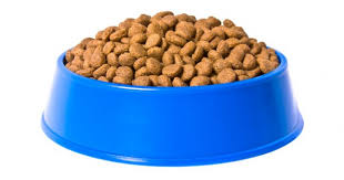 Wildfield Kedi Mamasi Fiyatlari Arsivleri Yavru Kedi Mamasi Ucuz Yavru Mamasi Ucuz Yavru Kedi Mamalari En Iyi Yavru Kedi Mamasi Kedi Mamalari Fiyat Yavru Kedi Mamalari Fiyati Yavrukedimamasi Net