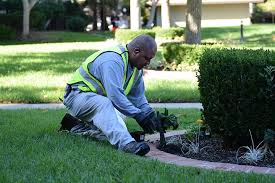 Maintenance Landscaping Mountain View Commercial Marvy S Landscaping