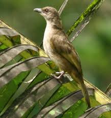 ١٨ ذو الحجة ١٤٤٢ هـ. Birdseye Photography Review Photos