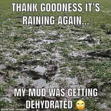 Here S Every Us State Described Perfectly By A Meme Rain Meme Funny Weather Weather Memes