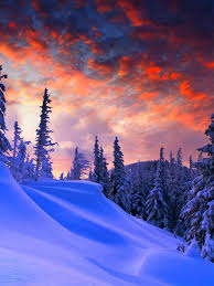 3840x2400 best hd wallpapers of nature, 4k ultra hd 16:10 desktop backgrounds for pc & mac, laptop, tablet, mobile phone.tons of awesome 8k desktop hd wallpapers to download for free. 8k Wallpaper For Pc Christmas Winter 80259 Hd Wallpaper 4k Ultrawide 1536x2048 Download Hd Wallpaper Wallpapertip