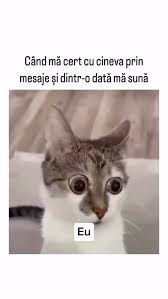 images?q=tbn:ANd9GcT3TRtImW3F8YzpxAPbNal