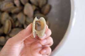 Check spelling or type a new query. How To Choose Clean Clams The Right Way New Malaysian Kitchen