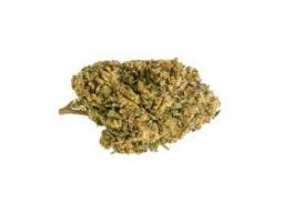 A few centuries ago, humans began to generate curiosity about the possibilities of what may exist outside the land they knew. 4 Basic Marijuana Questions And Answers Greeley Gallery