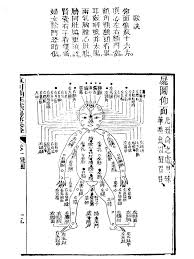 Ancient Dim Mak Diagram Muay Thai Training Wing Chun