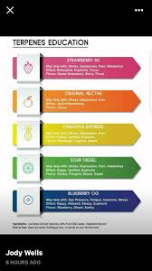 Cbd Terpenes Chart