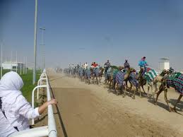 Deep in the dubai desert sands at al marmoom camel race track, you can find a modern day version of the old tradition of camel racing. Al Shahainya Camel Racetrack Picture Of Al Shahaniya Racetrack Ash Shahaniyah Tripadvisor