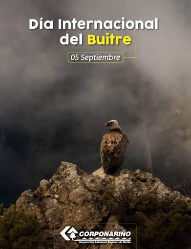 Día Internacional del Buitre