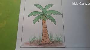 The macapuno coconut tree is a dwarf mutant tree that occurs because of a recessive gene, which causes the abnormal development of the fruit's endosperm. Easy Drawing Of A Coconut Tree
