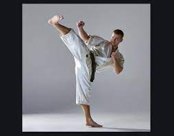 Learn Karate And Kung Fu On Video Apk For Android Download