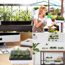 It is large enough to fit around most young plants. 5 Pcs Seedling Starter Tray With Humidity Dome 12 Cell Seedling Propagation Trays Seedling Tray With Adjustable Lid Plant Growing Trays Plastic Seedling Starter Trays Premium Seed Planting Trays Germination Trays Co