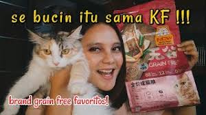 Flavor enhancers can brighten the flavors of almost any food. Review Kitchen Flavour Adult Youtube
