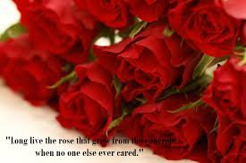 The perfect flowers animated gif for your conversation. Quotes To Send With Flowers Quotesgram