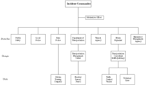 Conclusive Orchestra Organization Chart 2019