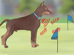 Before the invisible fence can be placed underground in your i've always trained my own dogs and help friends train theirs, as well. 3 Ways To Install An Underground Dog Fence Wikihow