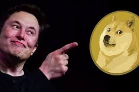 He also posted a news publication from the onion which reads bitcoin plunge reveals possible vulnerabilities in crazy. When Elon Musk Speaks Dogecoin Bread Rises A Single Tweet Has Caused A Rise Of 30 Paudal