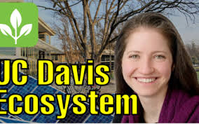 ToDos with Julia Burrows, Senior Policy Advisor to the City of Sacramento's  Mayor Steinberg