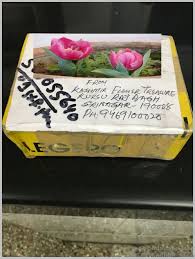 Jun 10, 2021 · it's important to remember that certain bulbs, like tulips and daffodils, are planted in the fall and bloom in the spring; Where To Buy Tulip Bulbs Online In India Gardening For Beginners