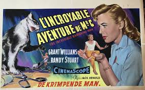 The incredible shrinking man movie. 1950 S Belgian Movie Poster Art For The Incredible Shrinking Man In Johnny C S Movie Poster Art Comic Art Gallery Room