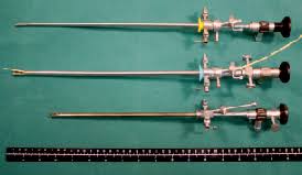 How to artificially inseminate a dog american bully pitbull artificial insemination. Insemination