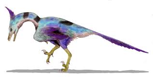 Image result for Nesogordonia